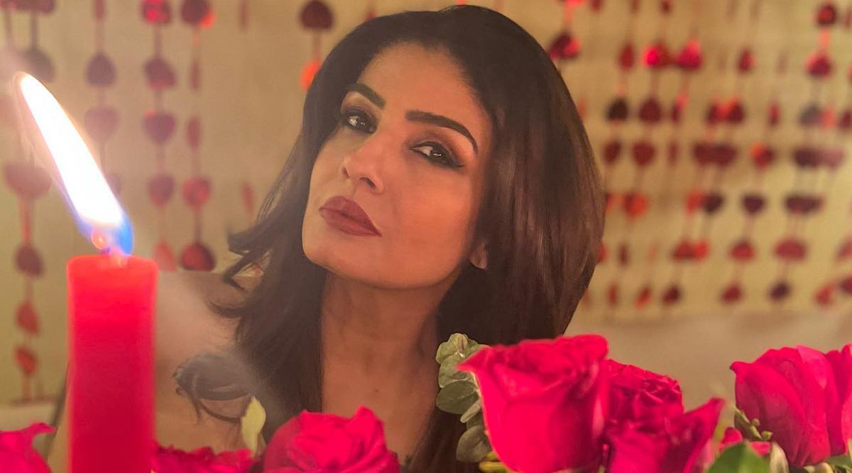 Raveena Tandon’s Instagram photo is definitely JAW-DROPPING; see the post here!