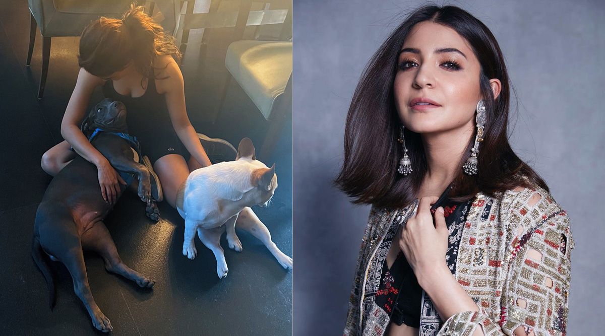 Samantha Ruth Prabhu shares an adorable picture with her pets, Anushka Sharma reacts