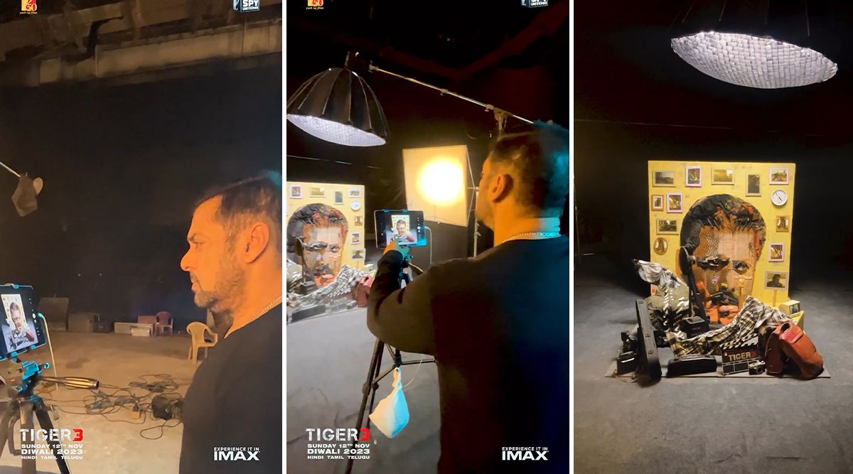 Tiger 3 Fan's Illusion Art Showcases Salman Khan's Unmatched Stardom, Watch!