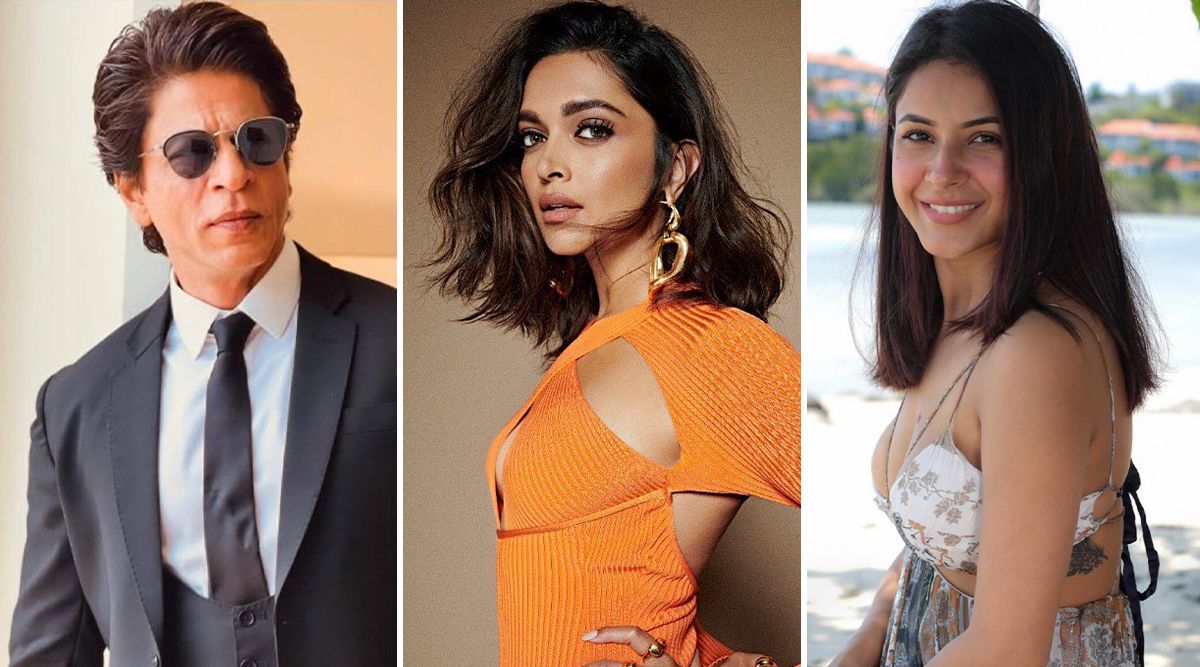 Must Read: From Shah Rukh Khan, Deepika Padukone To Shehnaaz Gill; Stars' Who Inspired Us With Their STRUGGLES In Life!