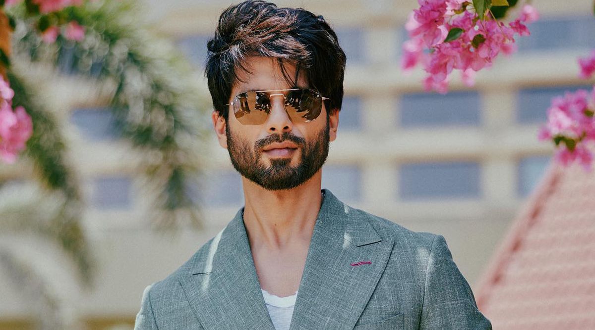 Shahid Kapoor Opens Up On Non-Acceptance Of Bollywood Movies By South Cinema Fanatics (Watch Video)
