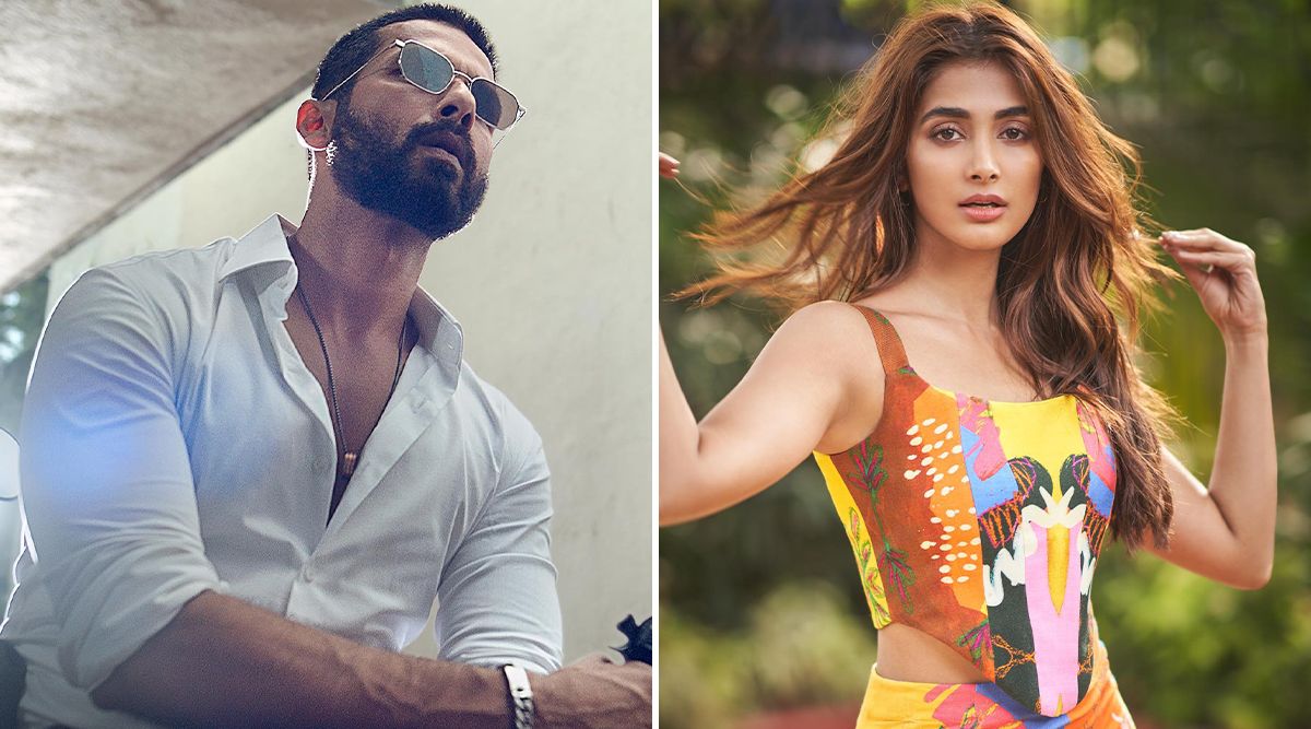 OMG! Shahid Kapoor REVEALS Exciting Title Of Upcoming Movie Starring Pooja Hegde, Set To Hit Theaters On 'THIS' Date!
