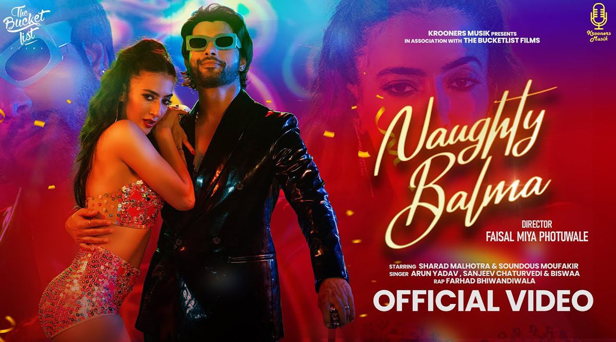 Wow! TV Actor Sharad Malhotra And Soundous Moukafir's 'Naughty Balma' Song Sets Screens On Fire With Over 1 Million Views! (Watch Video)