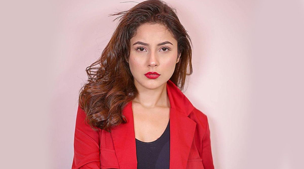 Kisi Ka Bhai Kisi Ki Jaan: Shehnaaz Gill REVEALS Not Being Invited To Her Film Premiere, Says 'Punjabi Industry Had Completely Cut Me Off…' (Details Inside)