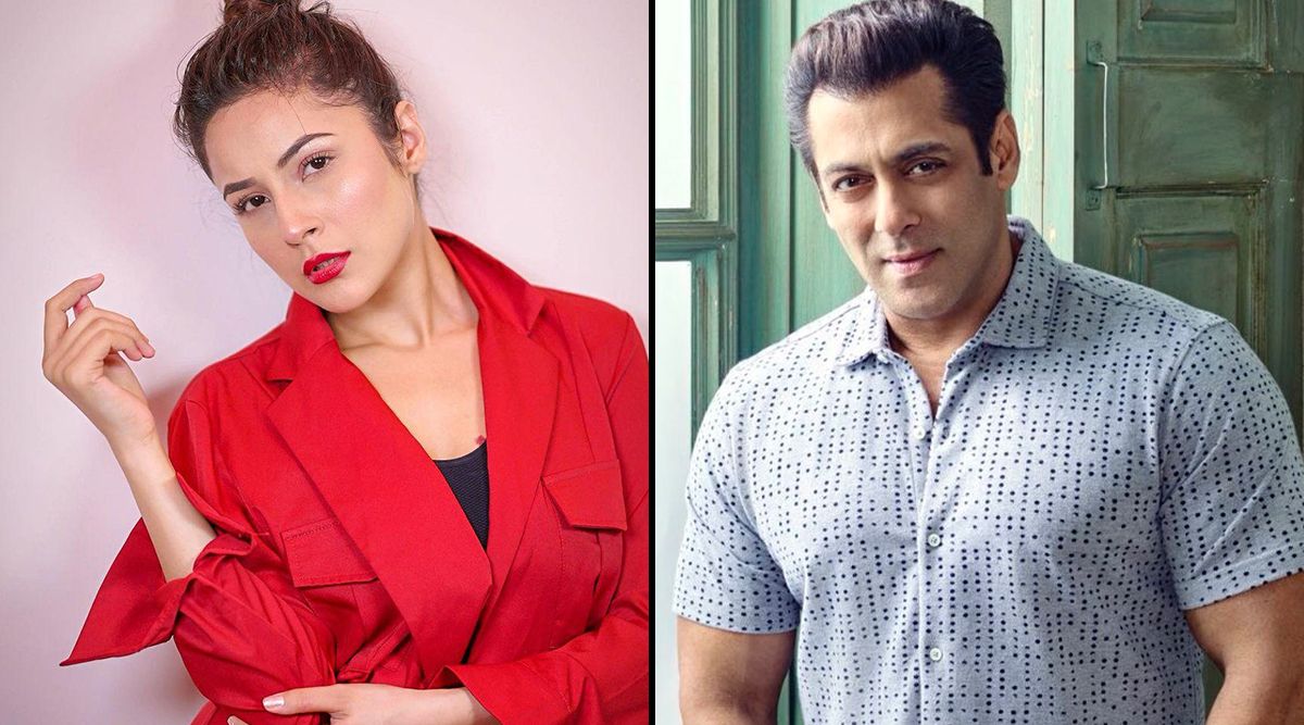 Shehnaaz Gill Clarifies That Her Career Graph Is Not 'SORTED' Just Because She Has Been Launched By Salman Khan!