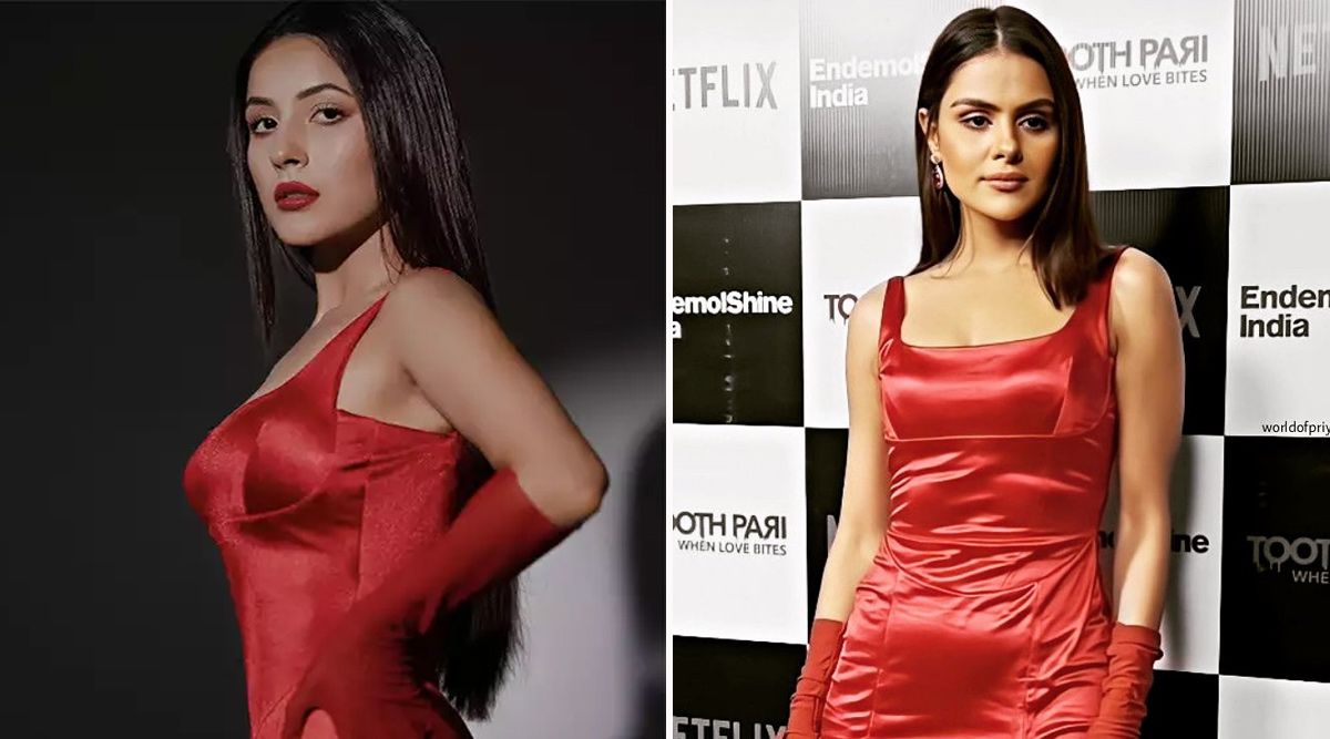 Fashion Faceoff: Who Carries The Romantic Red Better - Shehnaaz Gill Or Priyanka Chahar Choudhary?