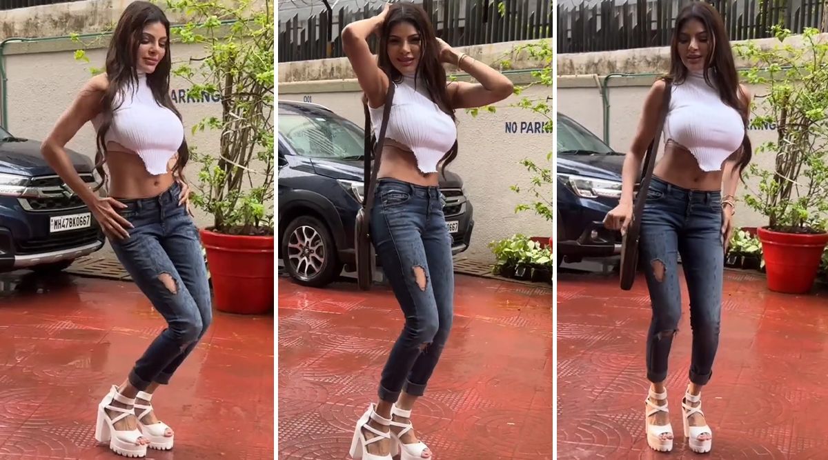 Sherlyn Chopra's Controversial Rain Dance to 'Tip Tip Barsa Pani' Sparks Online Fury; Netizens Troll Her Brutally, say 'PLASTIC MATKA!' (Watch Video)