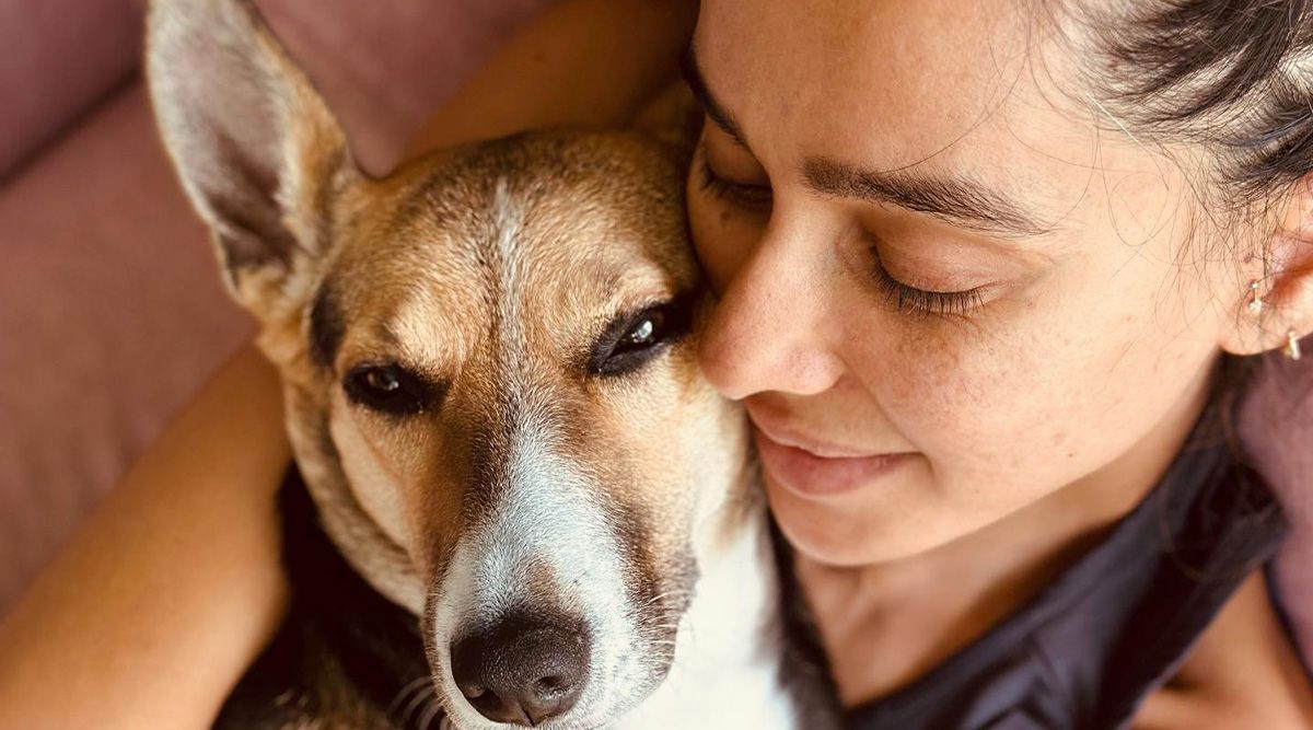 Shibani Dandekar and their dog are cuddling in a gorgeous photo shared by Farhan Akhtar, leaving everyone in awe moment