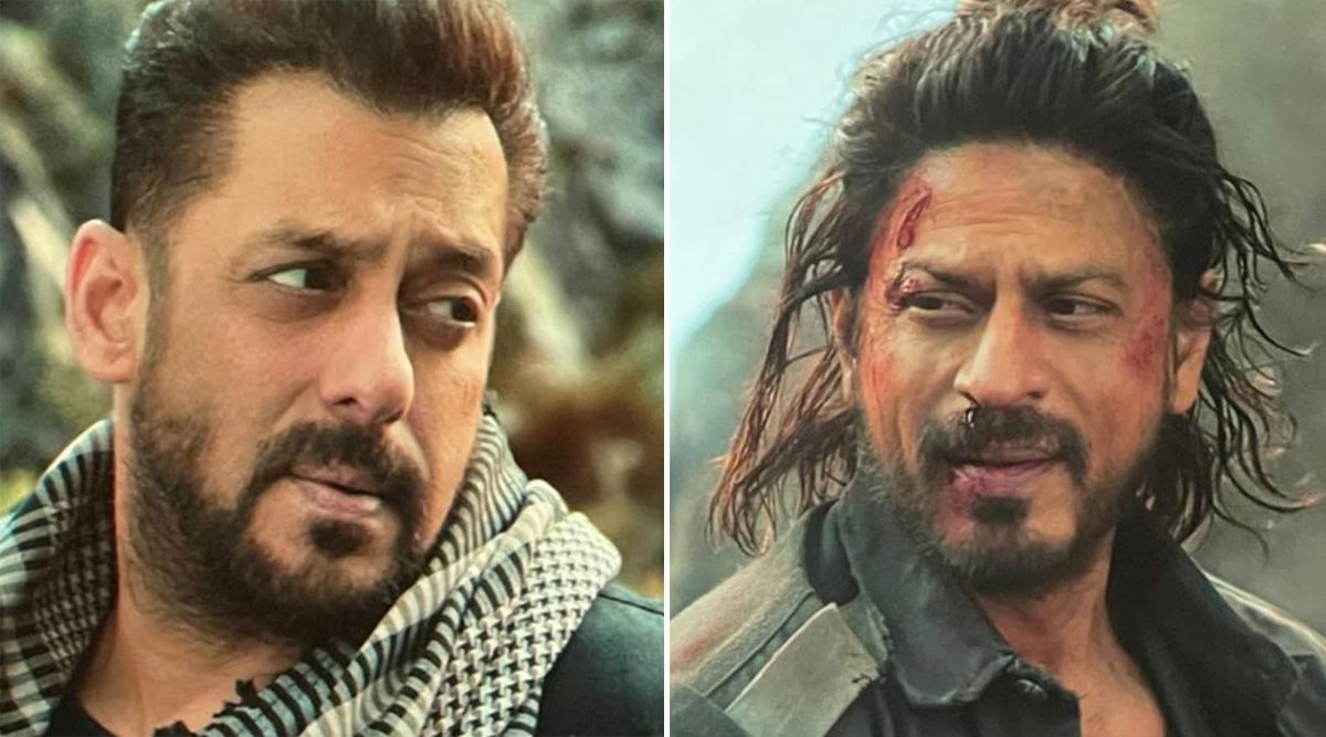 Tiger 3: Shah Rukh Khan Is All Set To Shoot for Seven Days With Salman Khan; Makers Plan the Reunion a Sequence To Remember in Indian Cinema! (Details Inside)