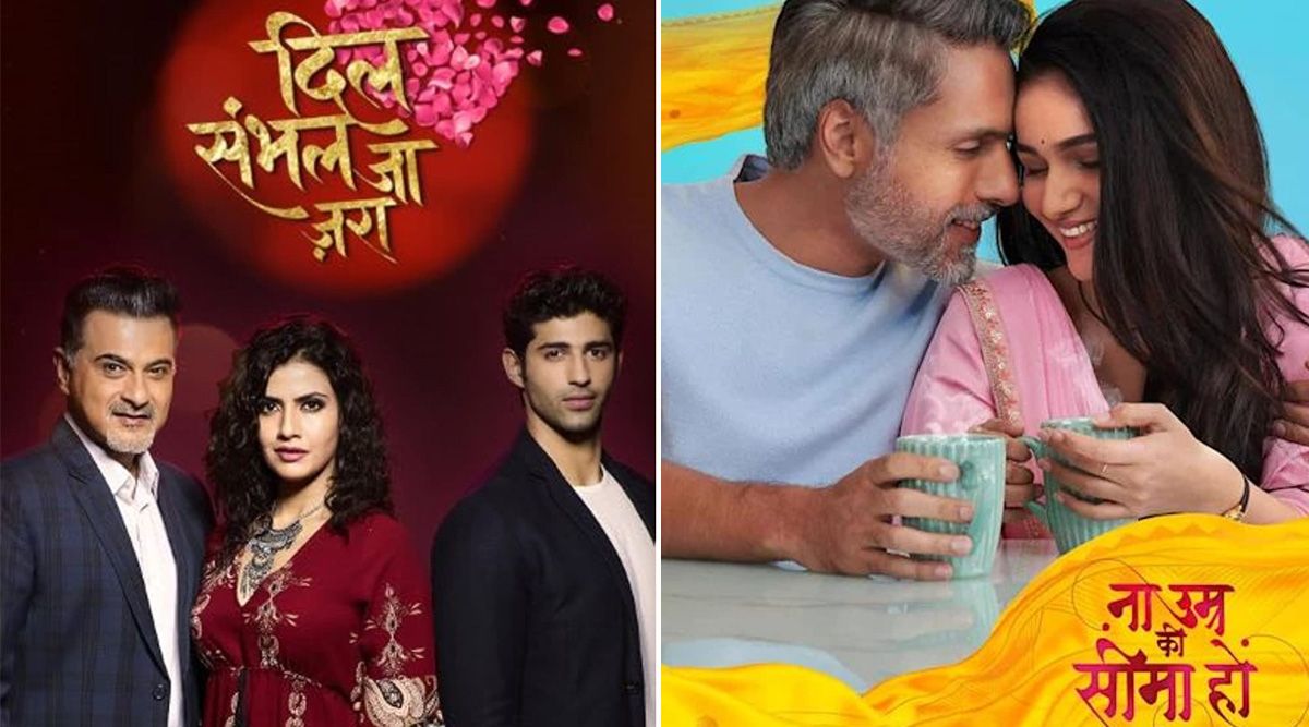 Age-Defying Hindi TV Shows that successfully showed that love has no age bar; check out!