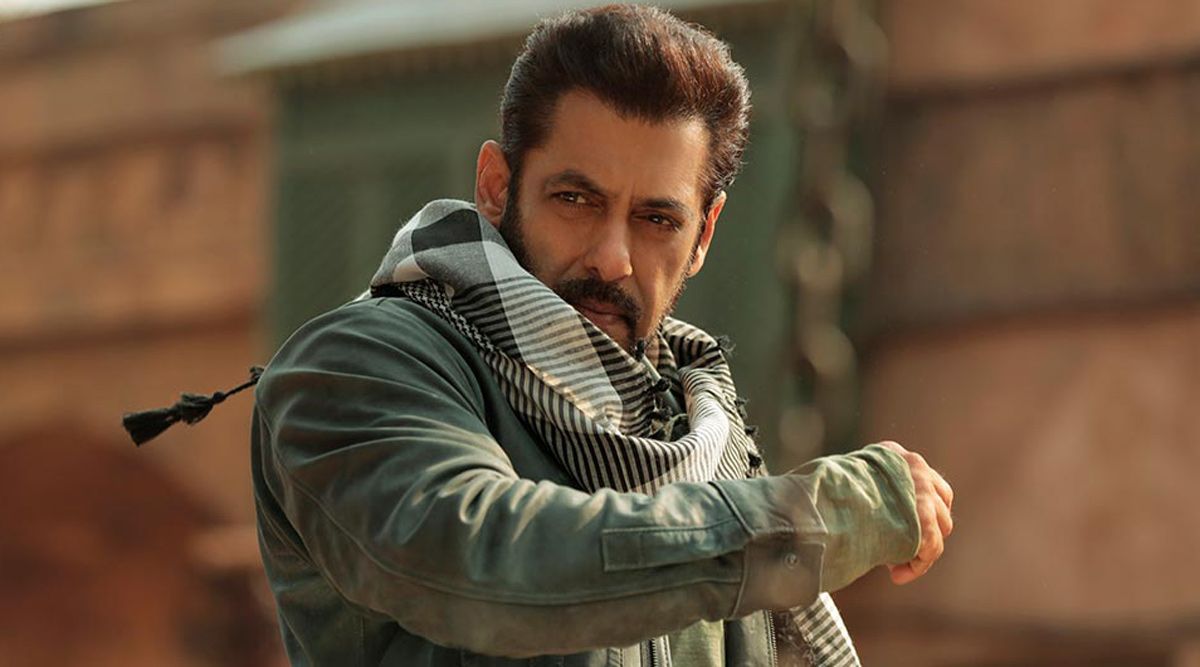 Tiger 3 Box Office Collection Day 2: Salman Khan's Tiger Fails To Dominate Box Office On Diwali! 