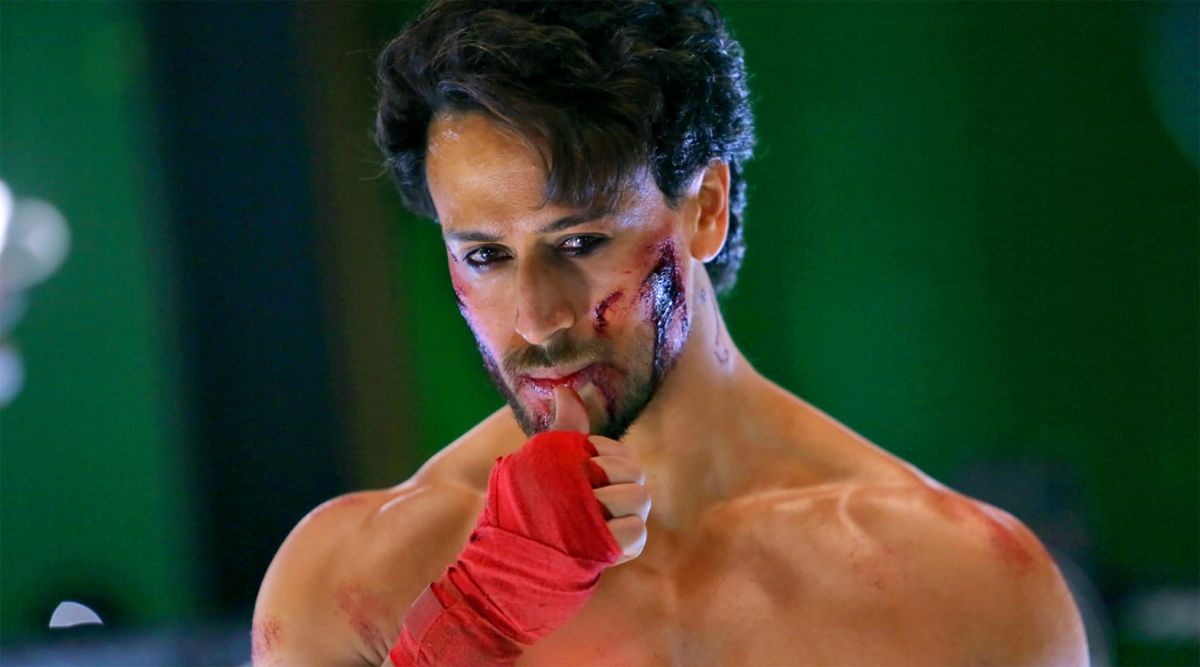 Ganapath: Tiger Shroff Shared About His Character In Film, Says 'I Have Never Played So Many...!' (Details Inside)