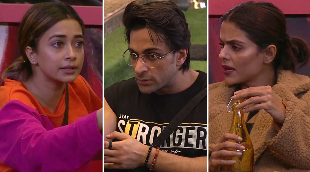 BIGG BOSS 16: Why did Tina Datta and Priyanka Chahar Choudhary call Shalin Bhanot ‘Dogala’ once again?