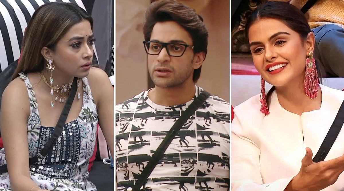 BIGG BOSS 16: Tina Datta makes a big REVELATION about Shalin Bhanot, shares secrets to Priyanka Chahar Choudhary!