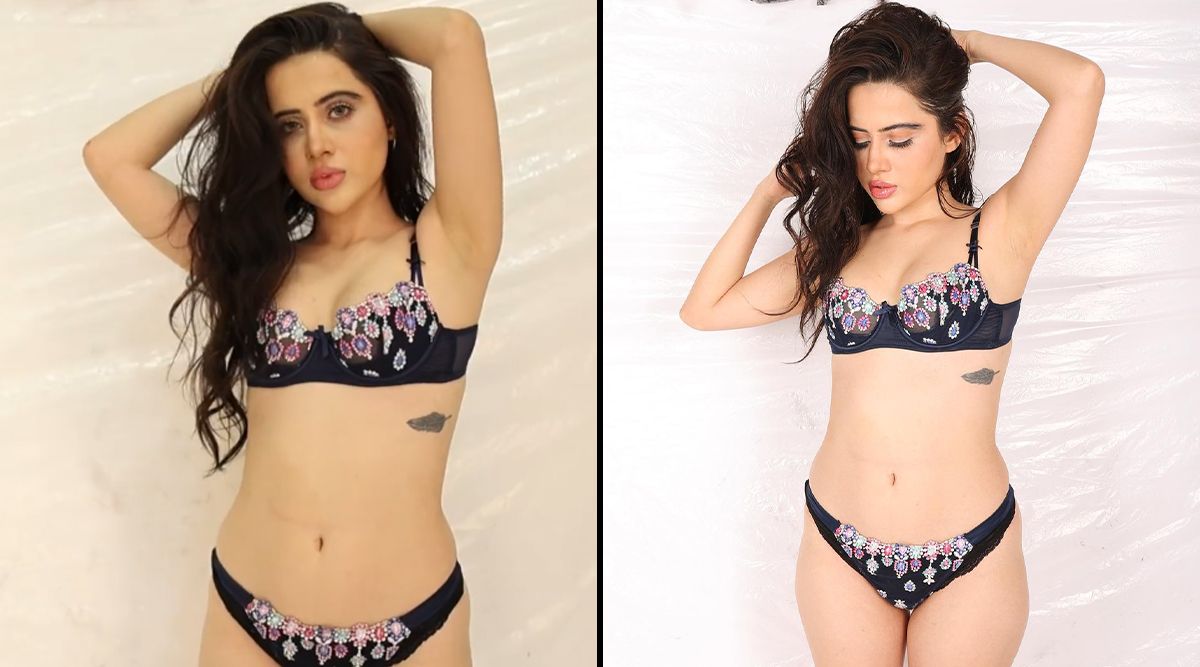 Uorfi Javed's Mysterious Picture In Ultra-Sexy Bikini Sparks SPECULATION; Is It Directed To Her EX-Boyfriend? (View Post)