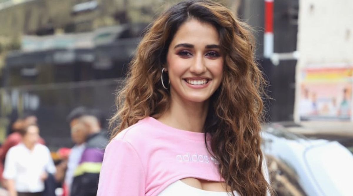 When Disha Patani confessed that ‘no guy’ has ever asked her out or flirted with her