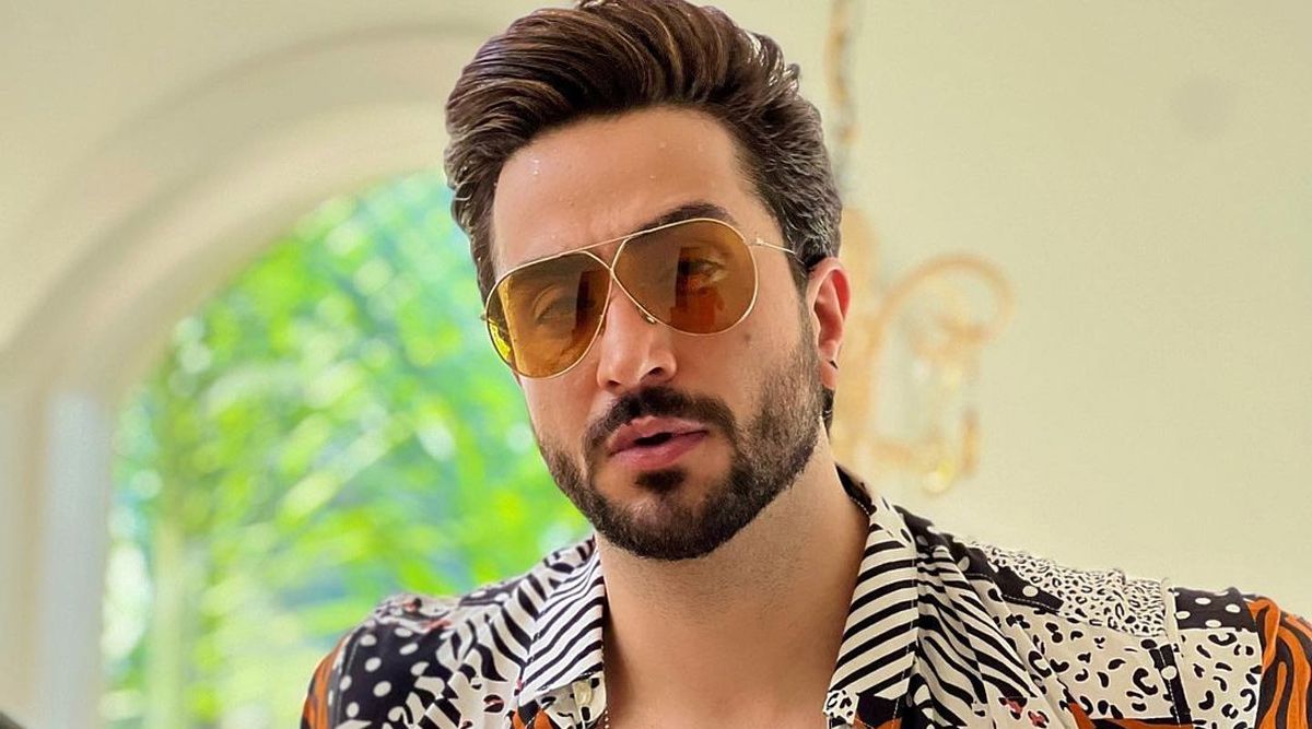 Aly Goni on Holi celebrations: I'm not a big admirer of colours, but I'll go see my friends to celebrate