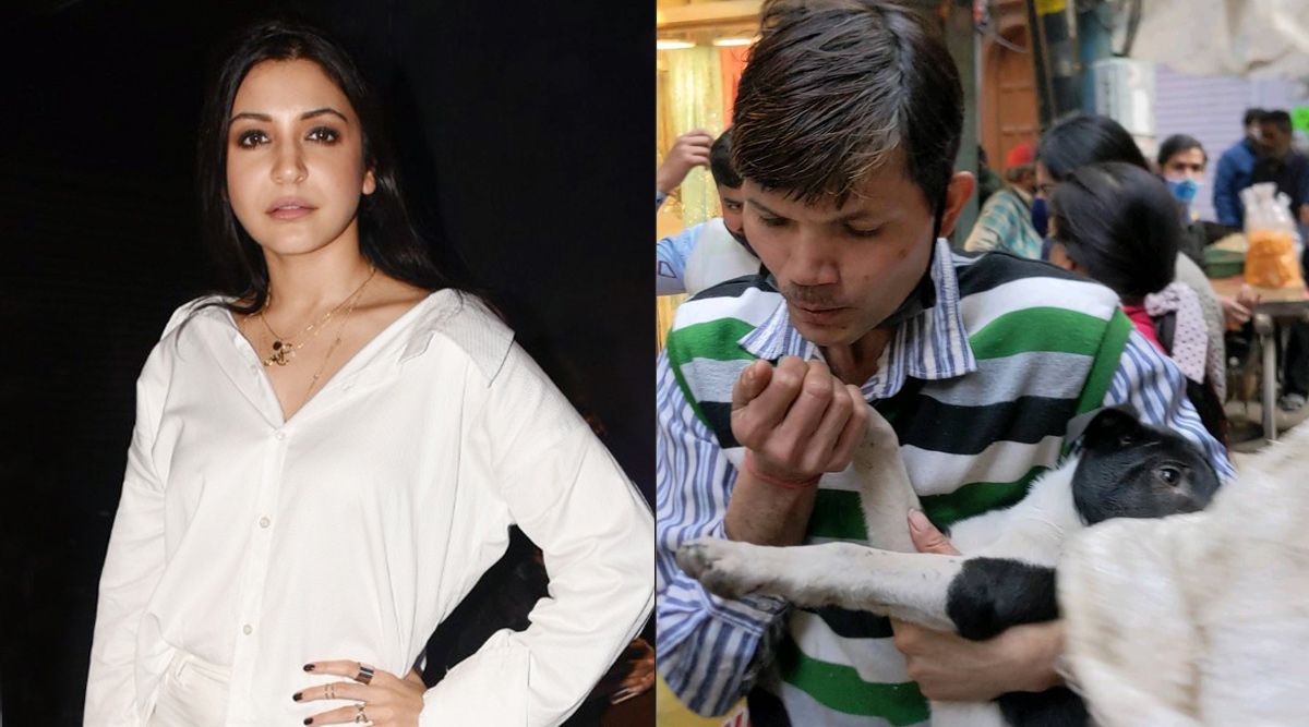 Anushka Sharma praises a man from Delhi who was called "Pagal" for rescuing a puppy