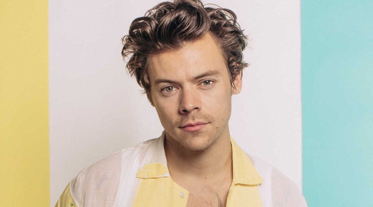 Harry Styles' stalker charged for forcing his way into the star's house and assaulting a woman