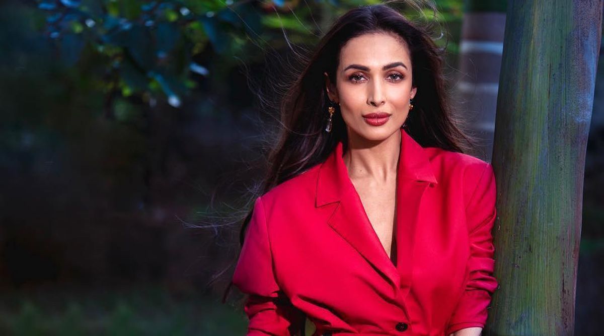 Malaika Arora discharged from hospital following her car accident, friend reveals she had a few stitches but is recovering well