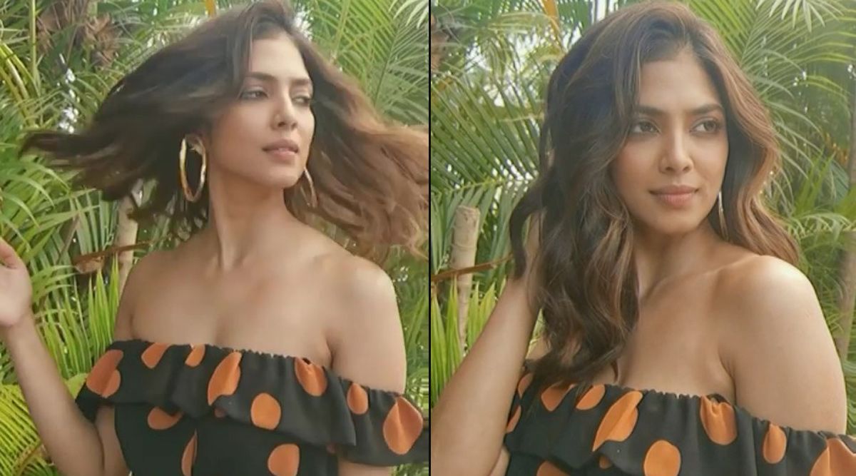 Malavika Mohanan is having a  'good hair day', shares a breathtaking video on her Instagram