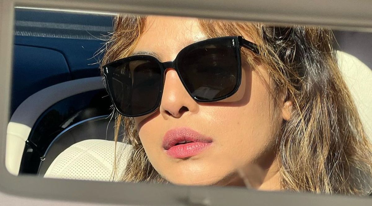 Priyanka Chopra shares a sunkissed selfie on Instagram, after a month of becoming a mother