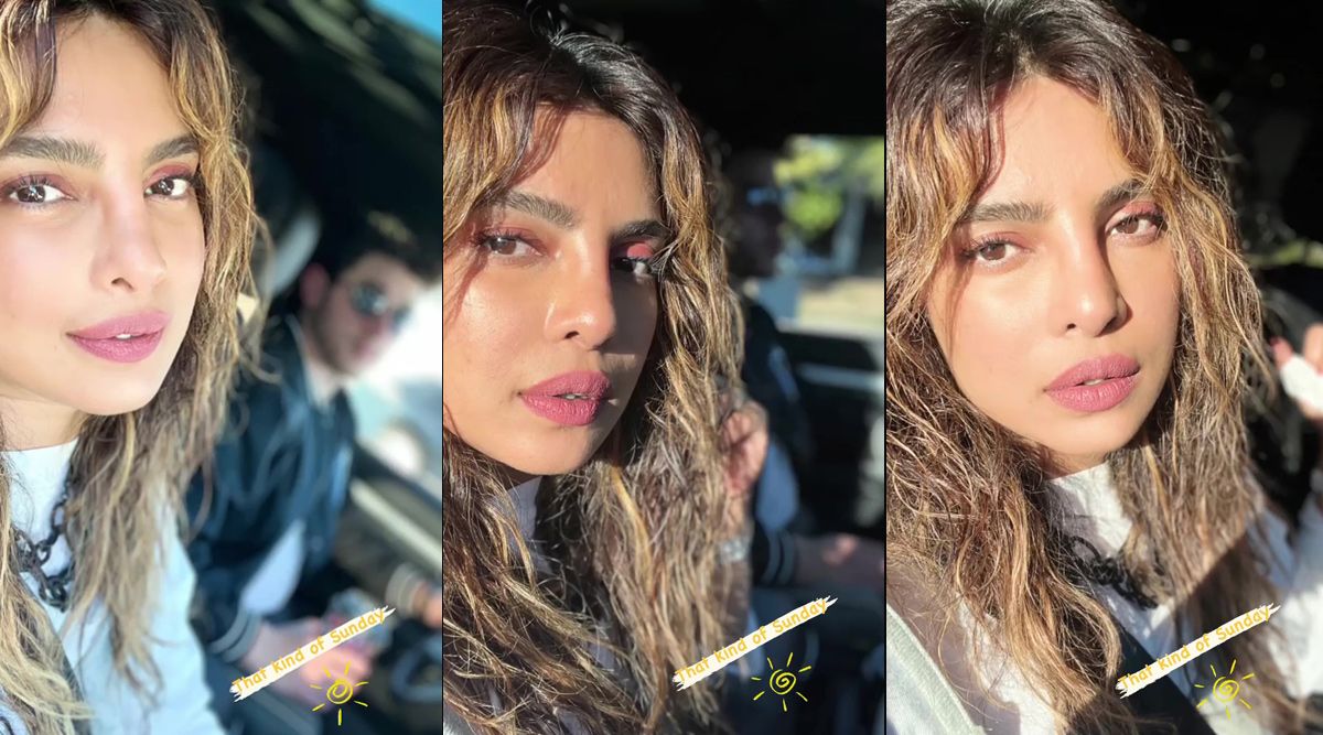 Priyanka Chopra posts pictures from her Sunday stroll with Nick Jonas, fans wonder why he's blurred