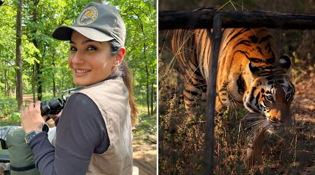 DO YOU KNOW? the Kanpur Zoo honours Raveena Tandon by naming a Tiger cub after her, sends heaters as a winter gift