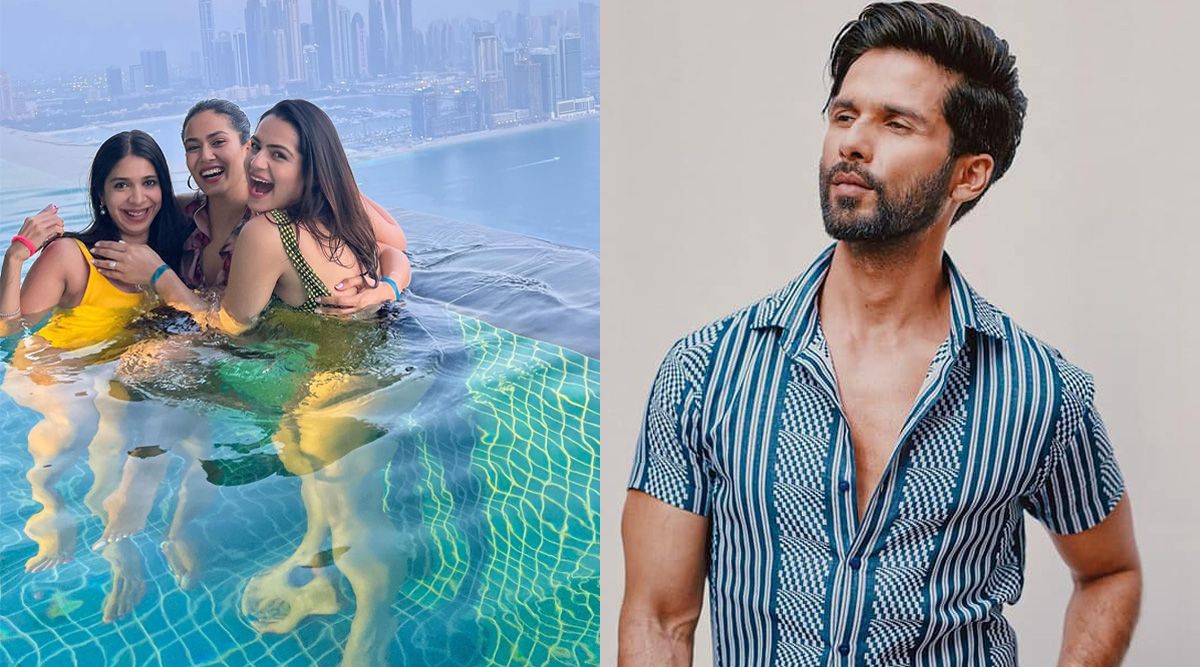 Mira Rajput relaxes in the pool with her girlfriends in Dubai after seven years, gets a reaction from hubby Shahid Kapoor