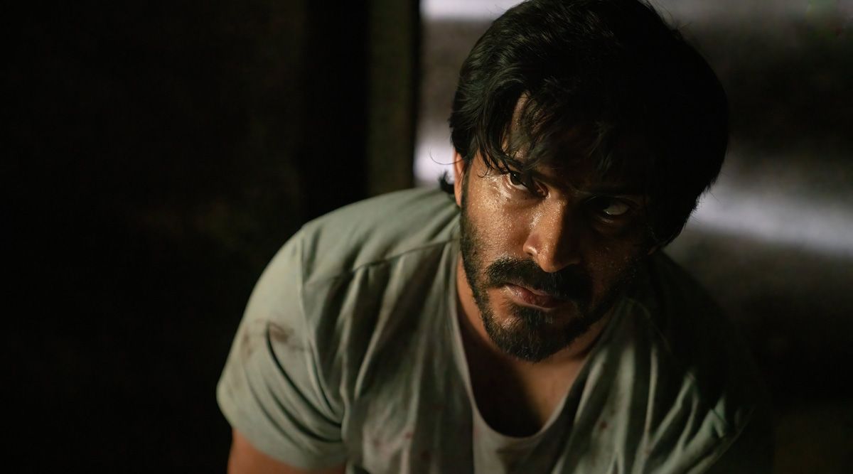 Thar strikes a perfect balance between gritty and nuanced: Harshvardhan Kapoor
