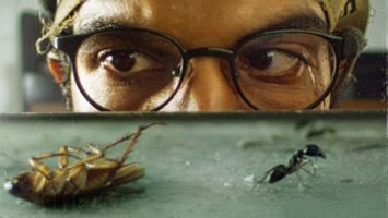 $videos->thumbnail_name trailer