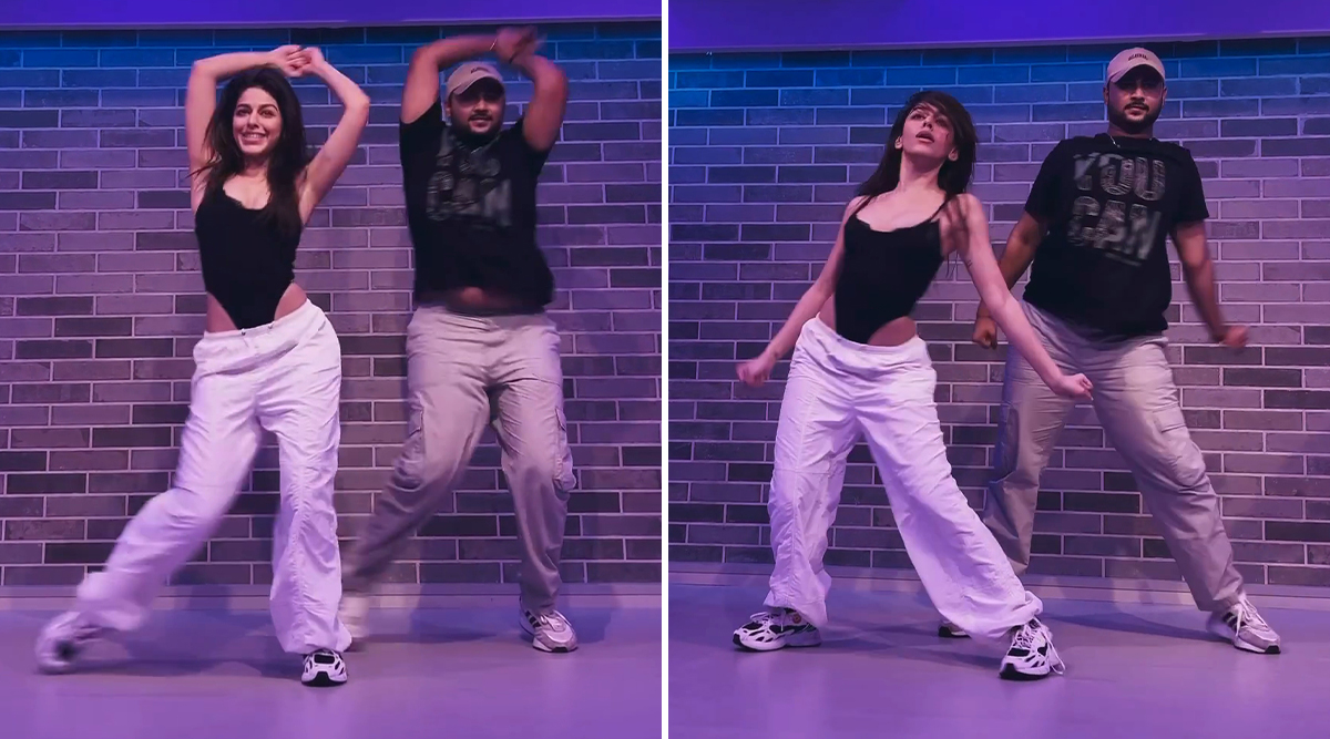 DAMN! Alaya F Sets The Dance Floor On Fire With Her Moves To Shah Rukh Khan's Chaleya From Jawan! (Watch Video)