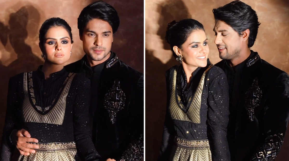 How Romantic: Priyanka Chahar And Ankit Gupta's Latest REEL Proves That They Are A Match Made In HEAVEN! (Watch Video)