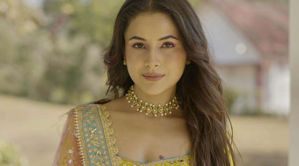 Shehnaaz Gill goes from befriending Shah Rukh and scoring a film with Salman Khan to now fawning over Bollywood’s Greek God Hrithik Roshan