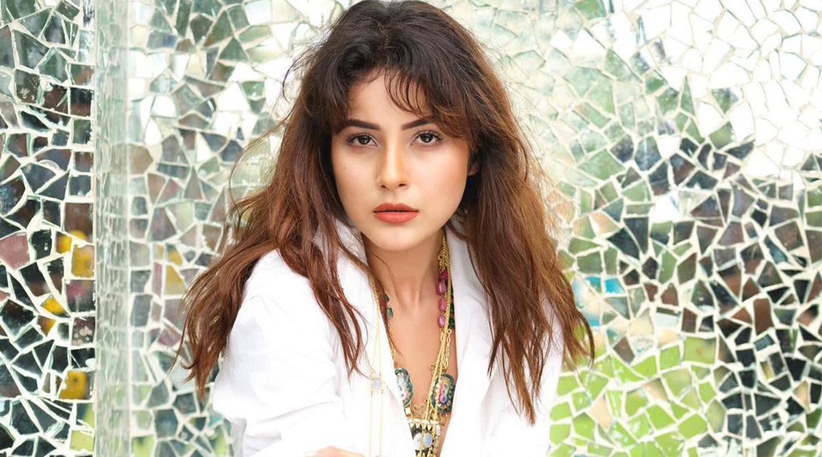 Shocking! Shehnaaz Gill reveals she ran away from her home at the age of 22