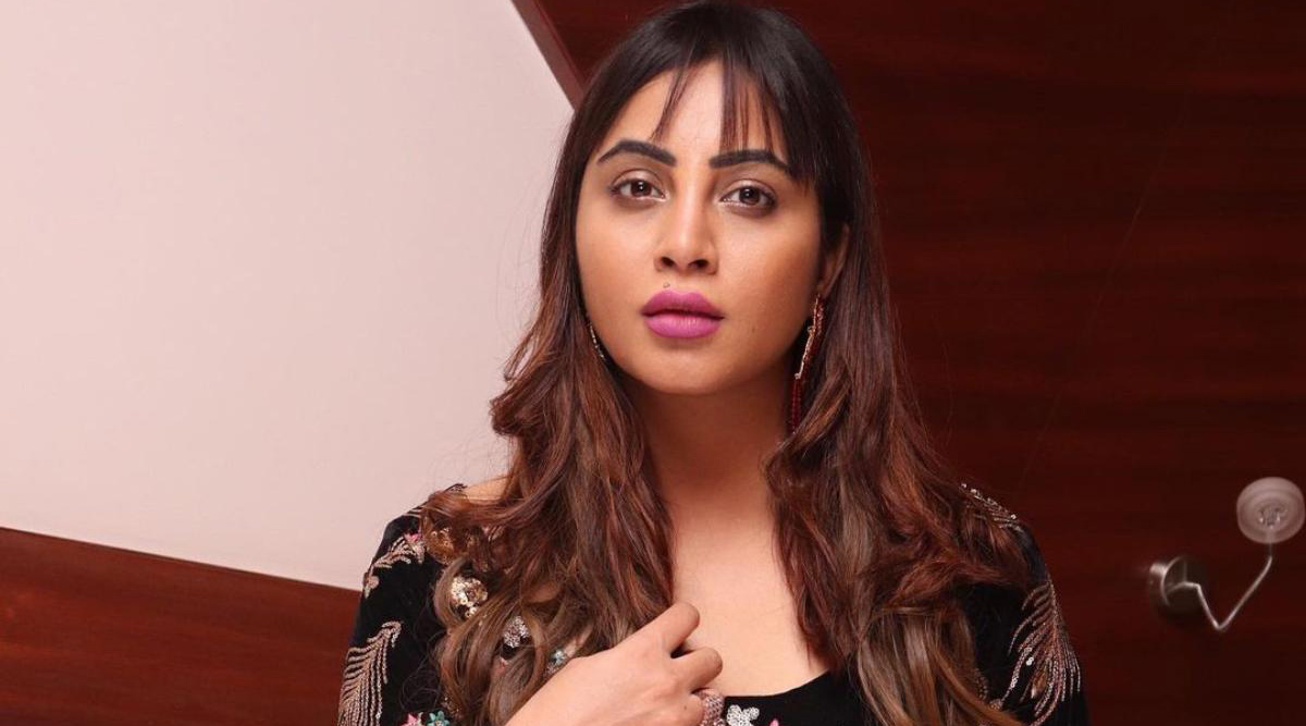 Bigg Boss fame Arshi Khan hospitalised after she meets with a car accident in Delhi