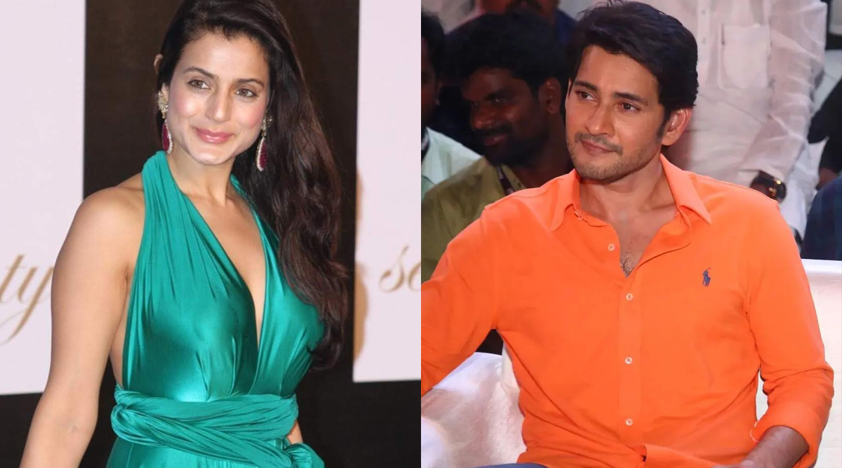 Ameesha Patel says, 'Mahesh Babu can do no wrong,' on his controversial 'Bollywood can’t afford me' comment
