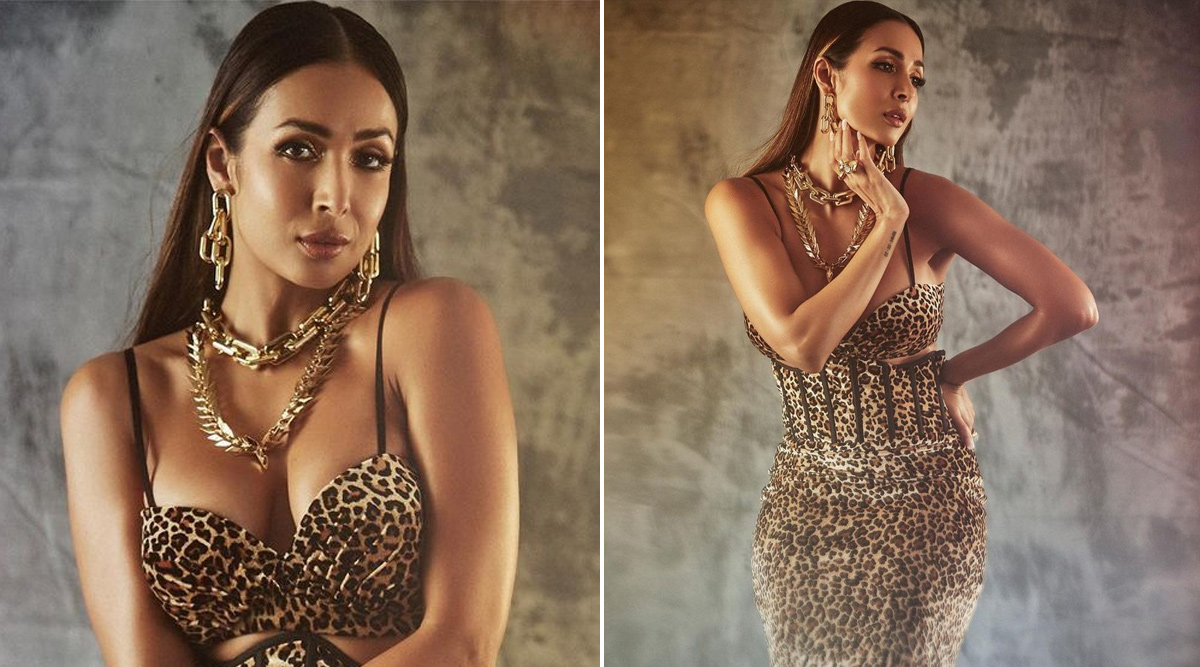 Malaika Arora sends our hearts racing with her leopard print outfit – see photos