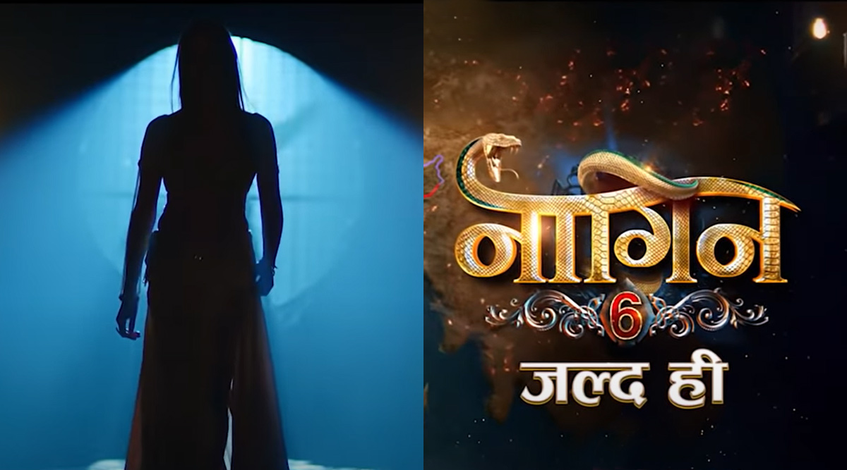 Naagin 6: Colors drops the promo of supernatural revenge drama